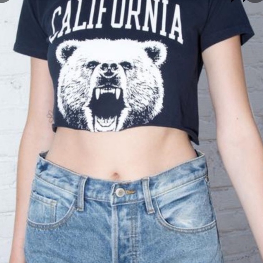 blue brandy melville crop tee